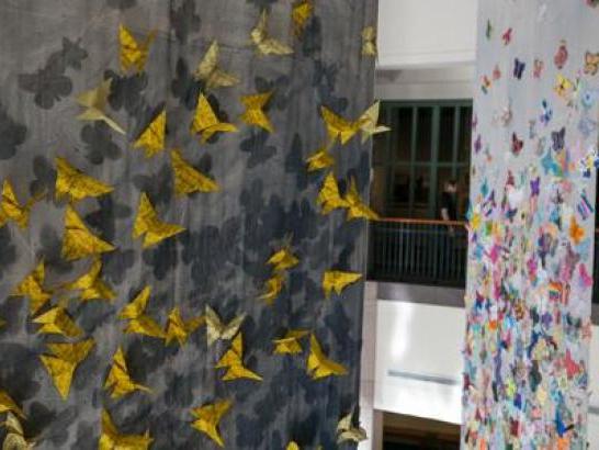 butterfly installation at st. edward's university 